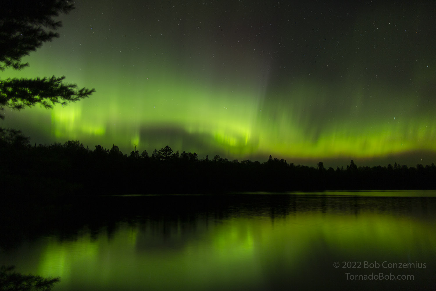 Nice Auroras