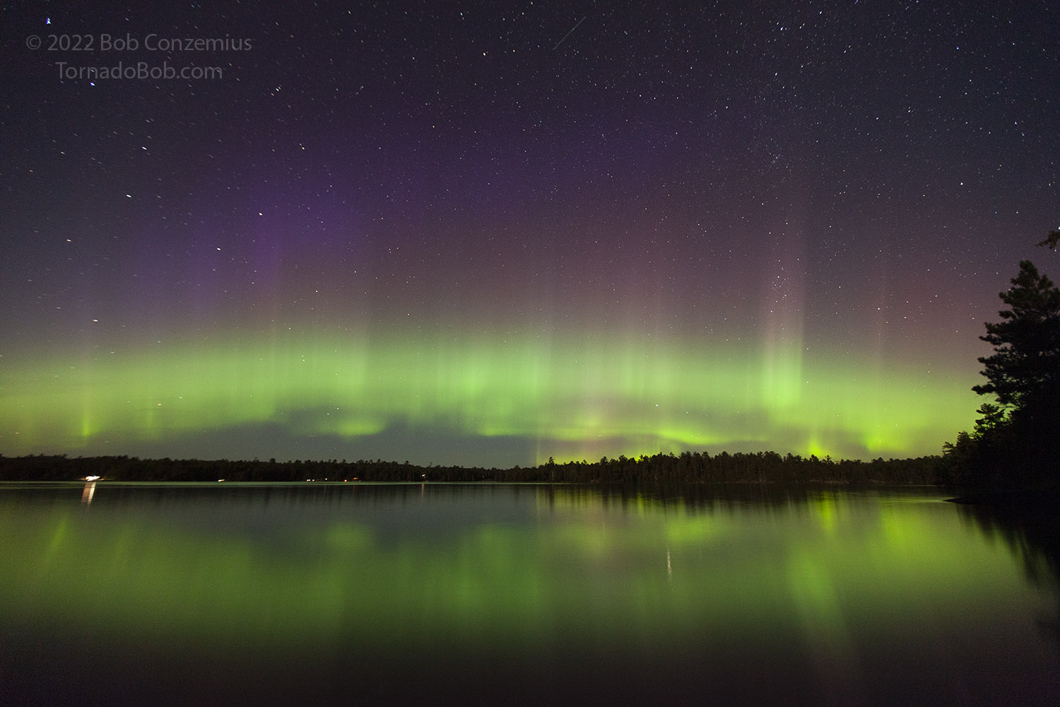 Nice Auroras