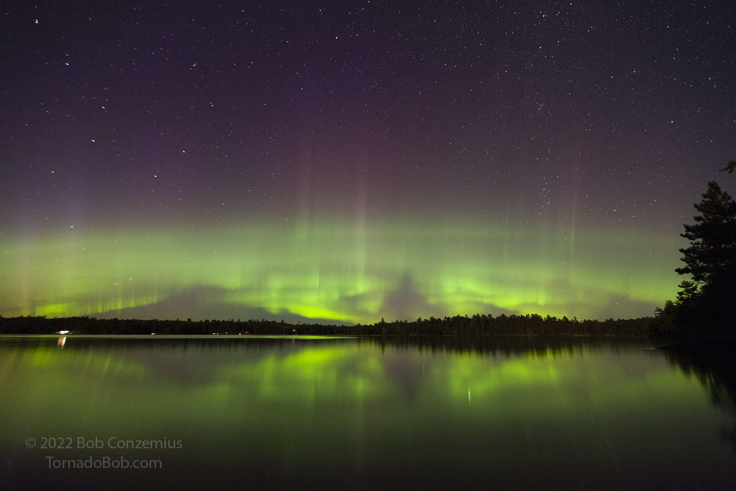 Nice Auroras