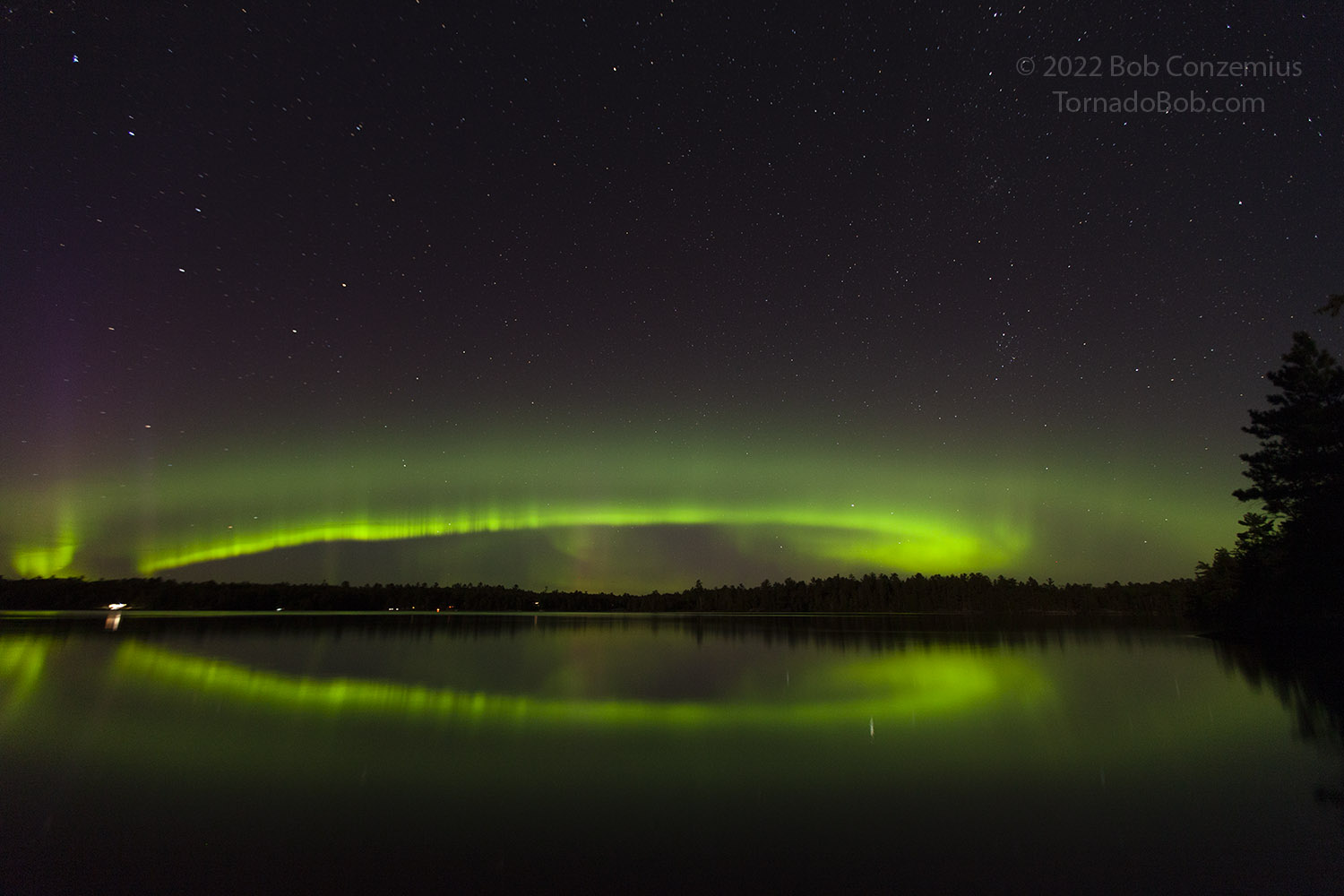 Nice Auroras