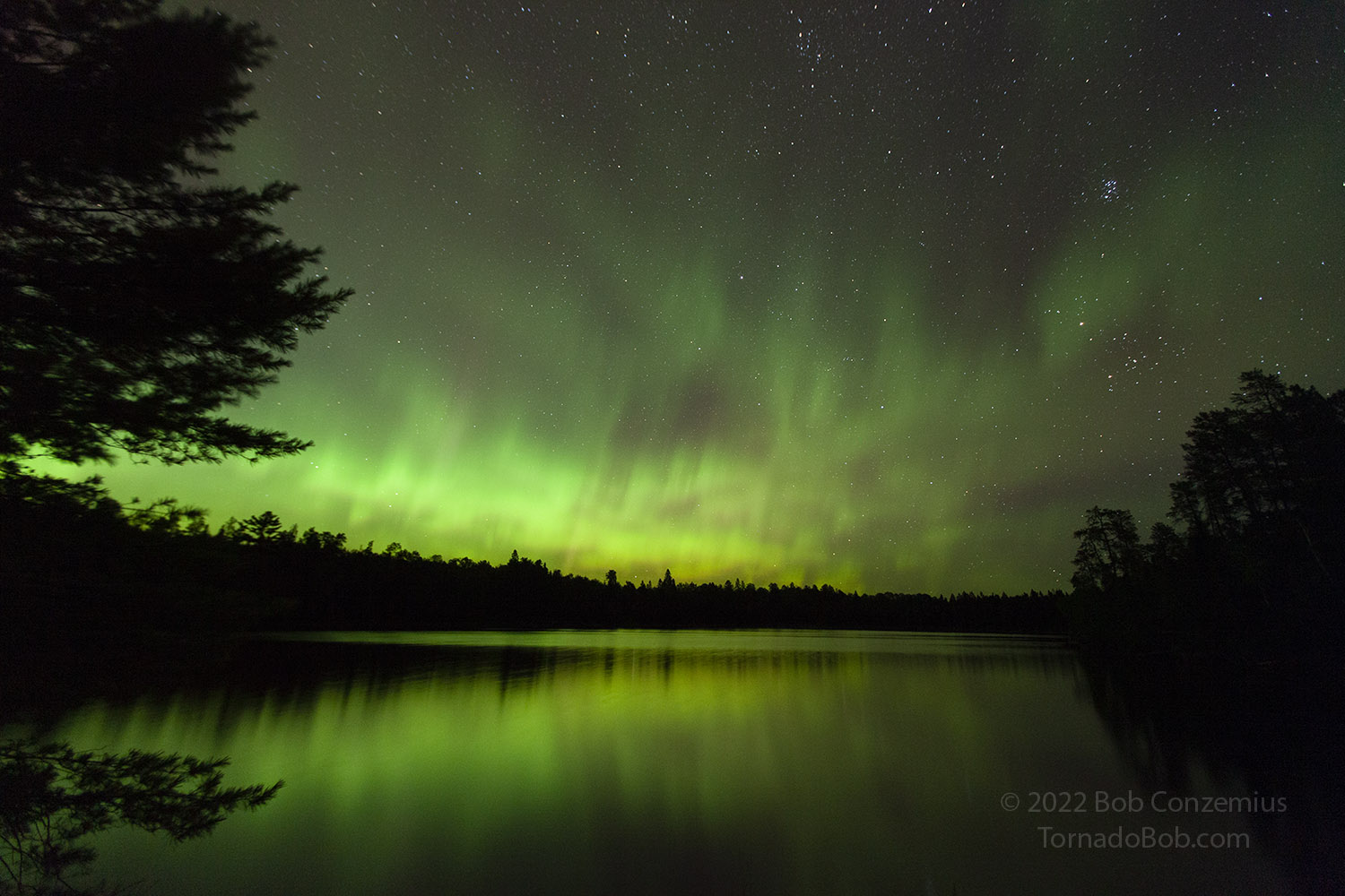 Nice Auroras
