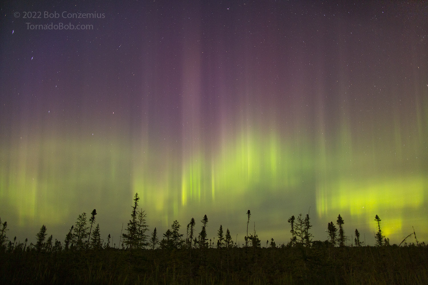 Nice Auroras