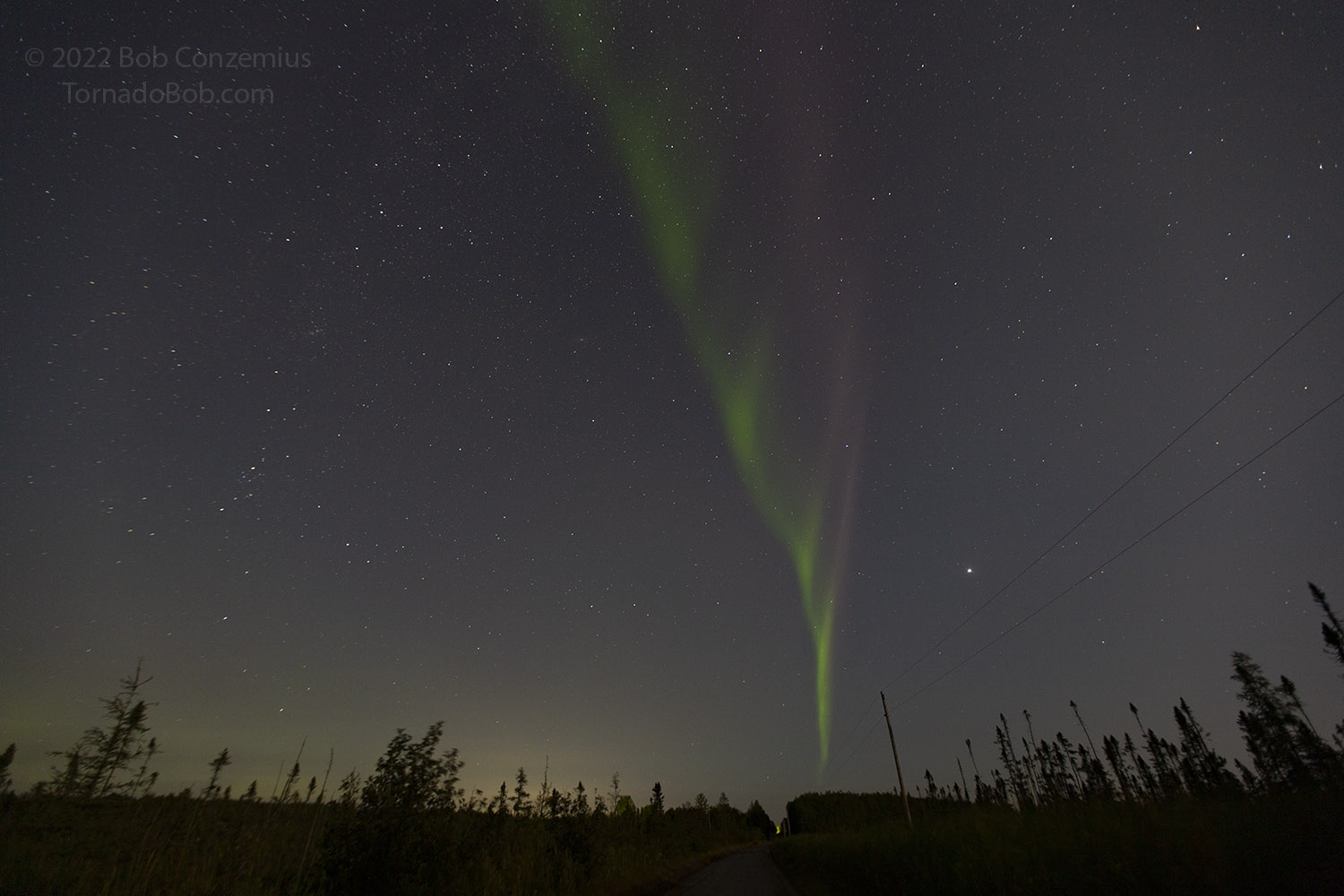 Nice Auroras