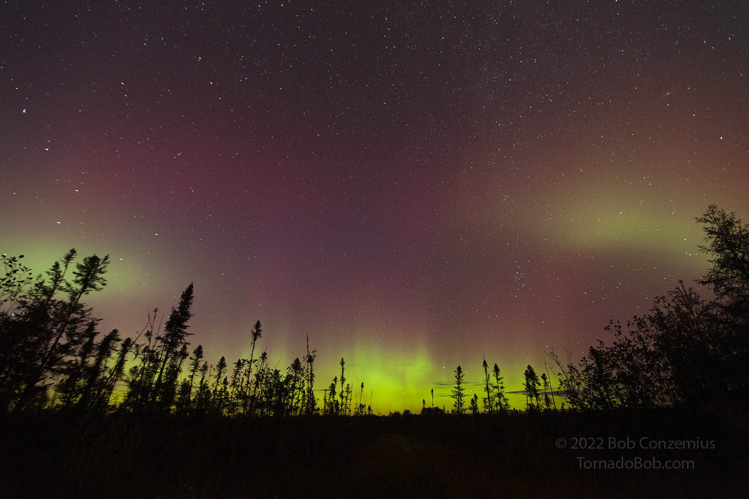 Nice Auroras