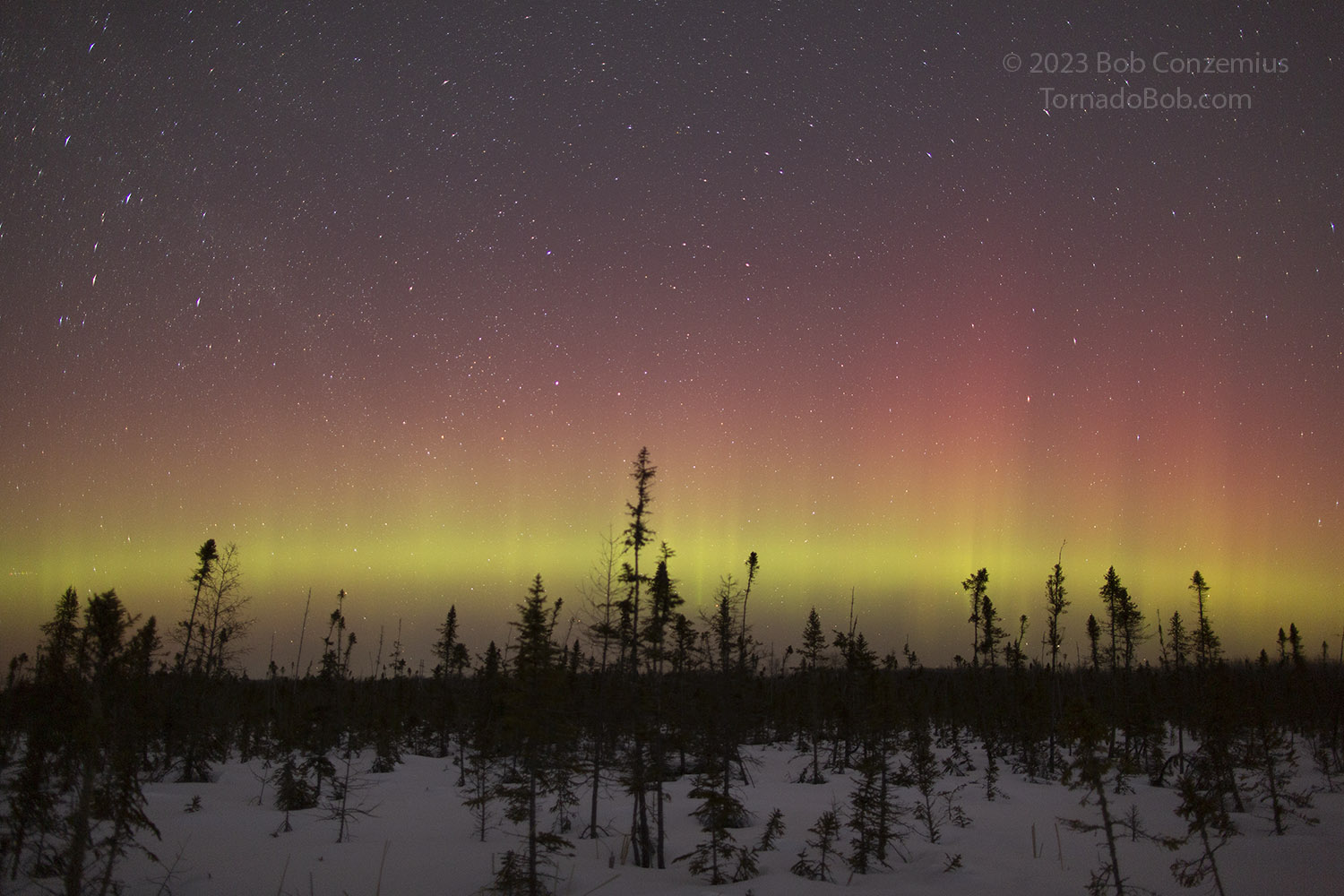 Nice Auroras