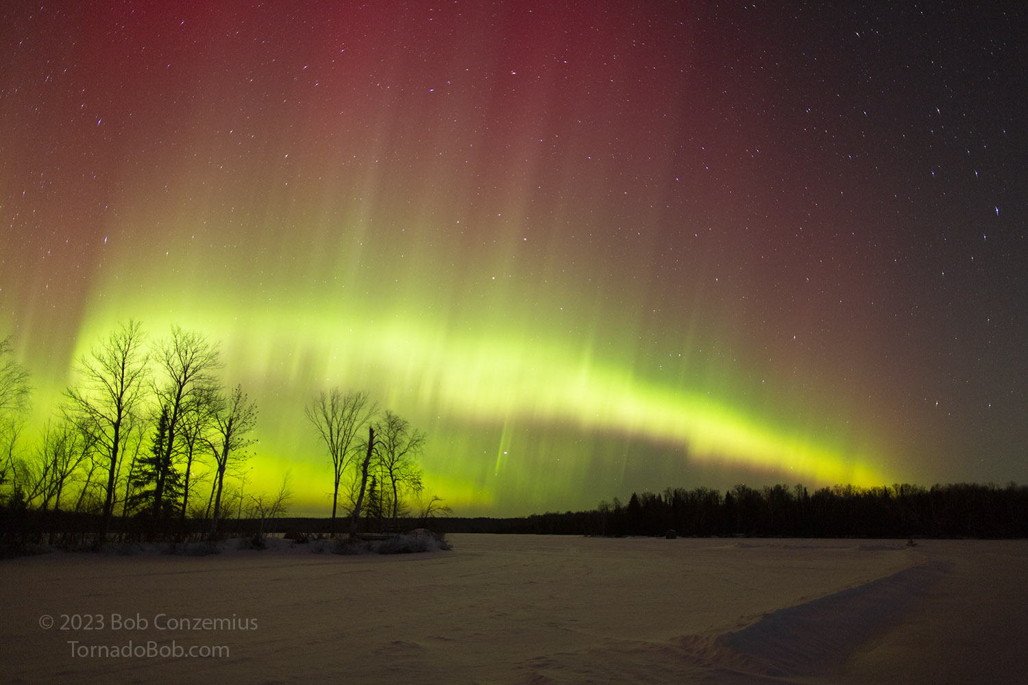 Nice Auroras
