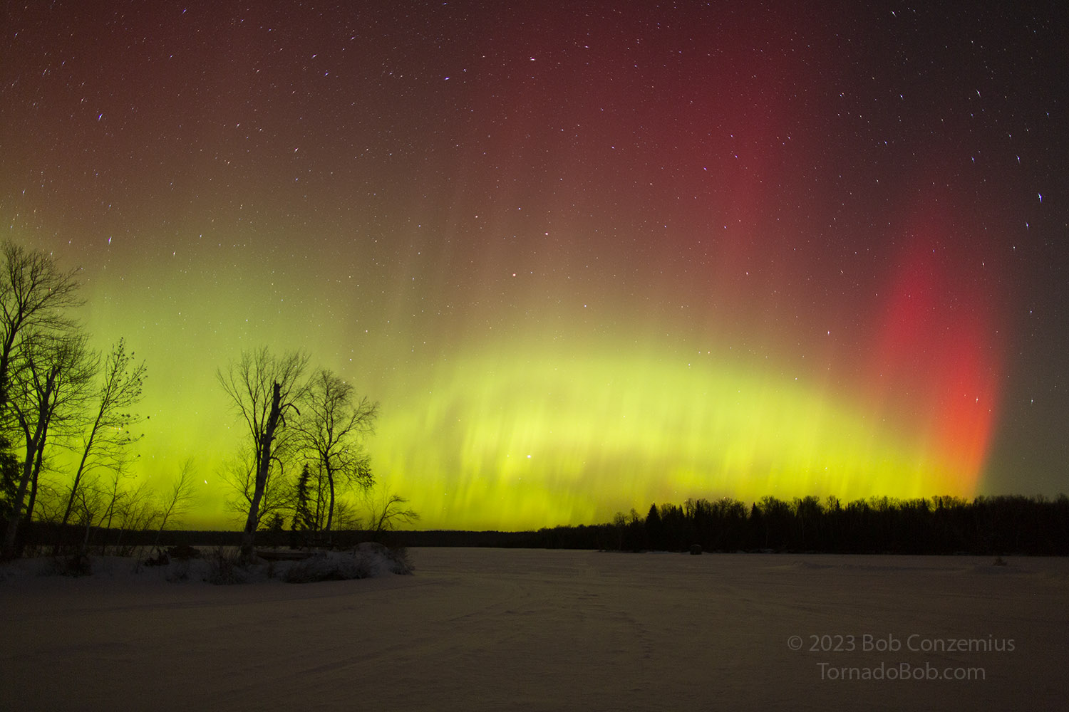 Nice Auroras