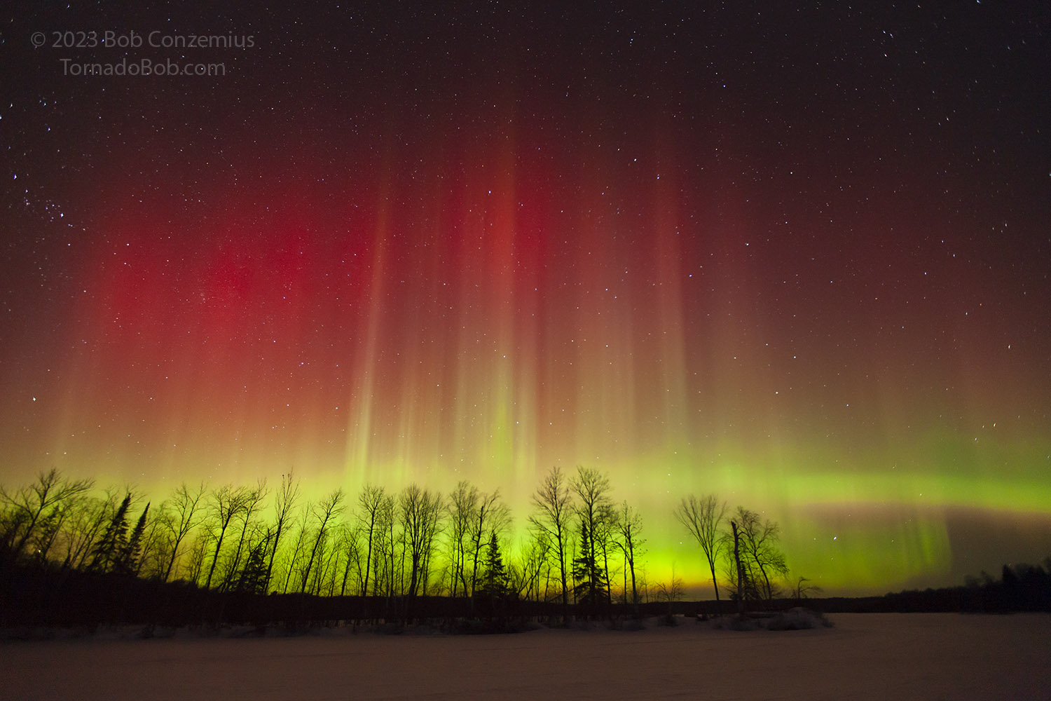 Nice Auroras