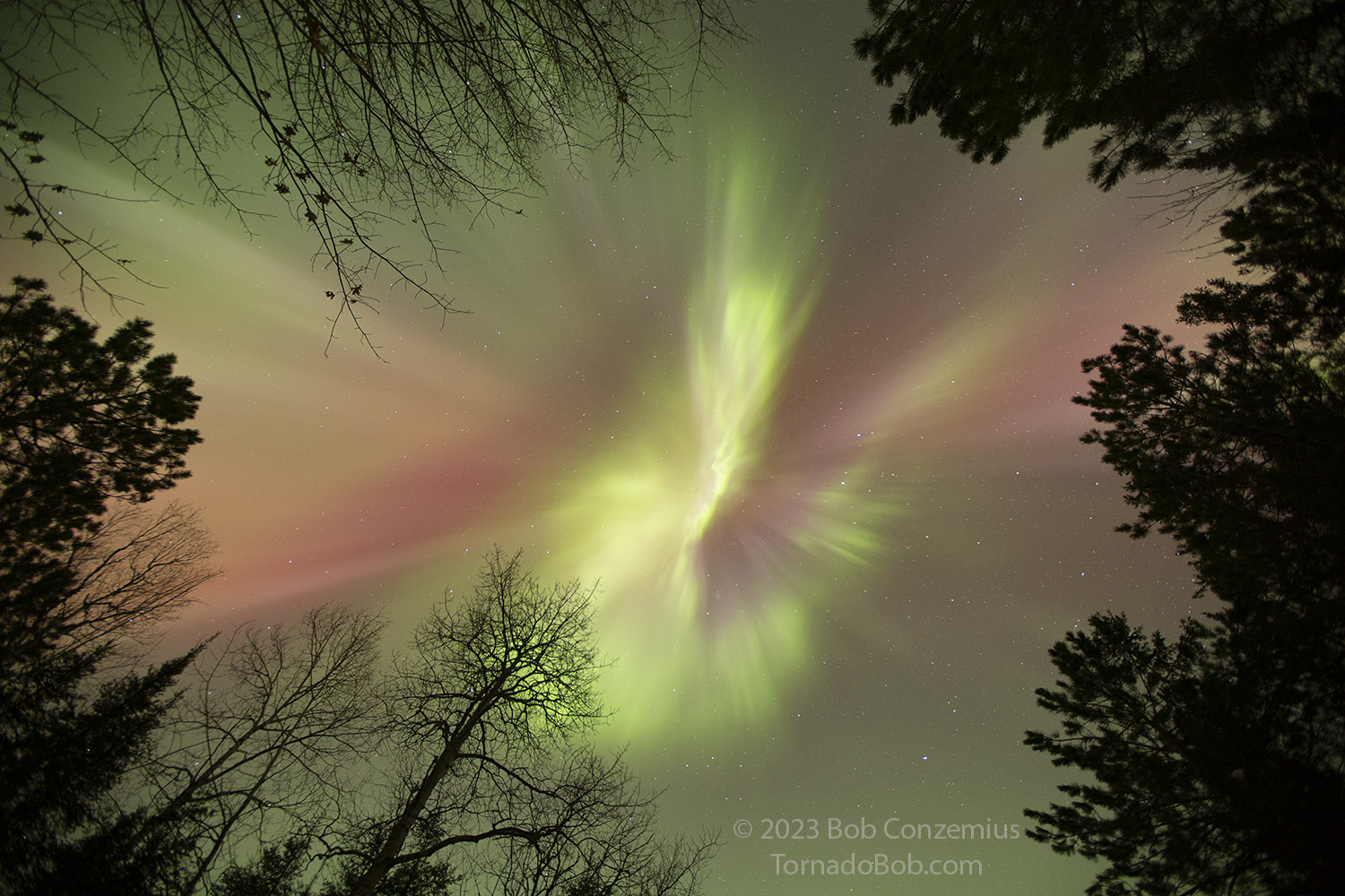 Nice Auroras