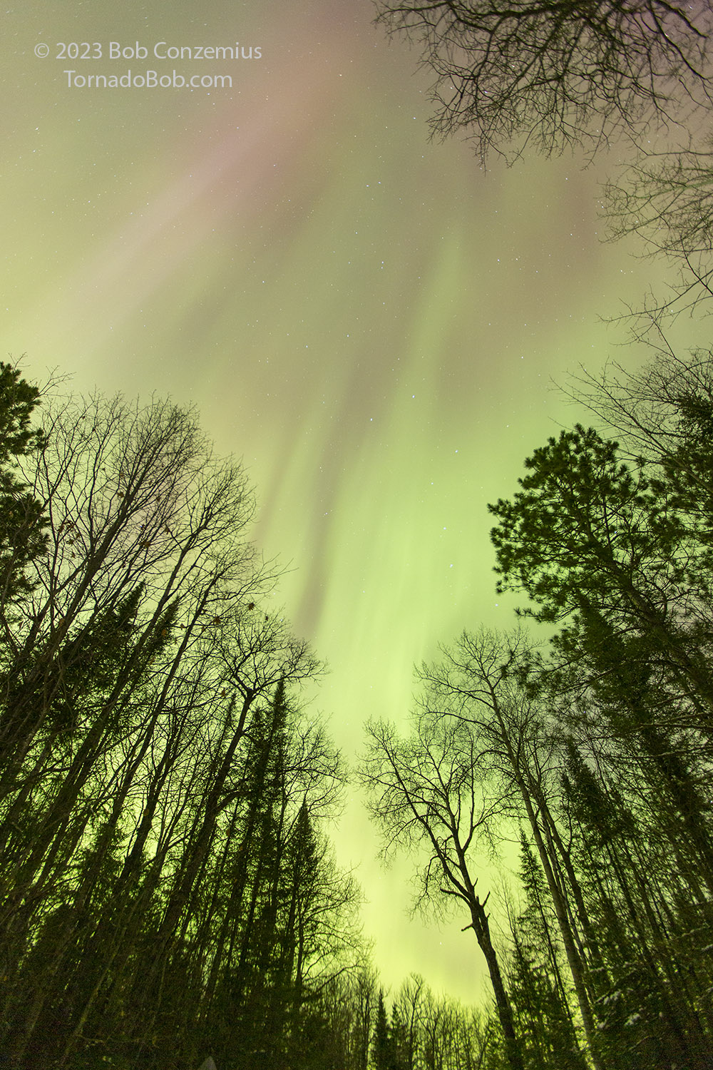 Nice Auroras