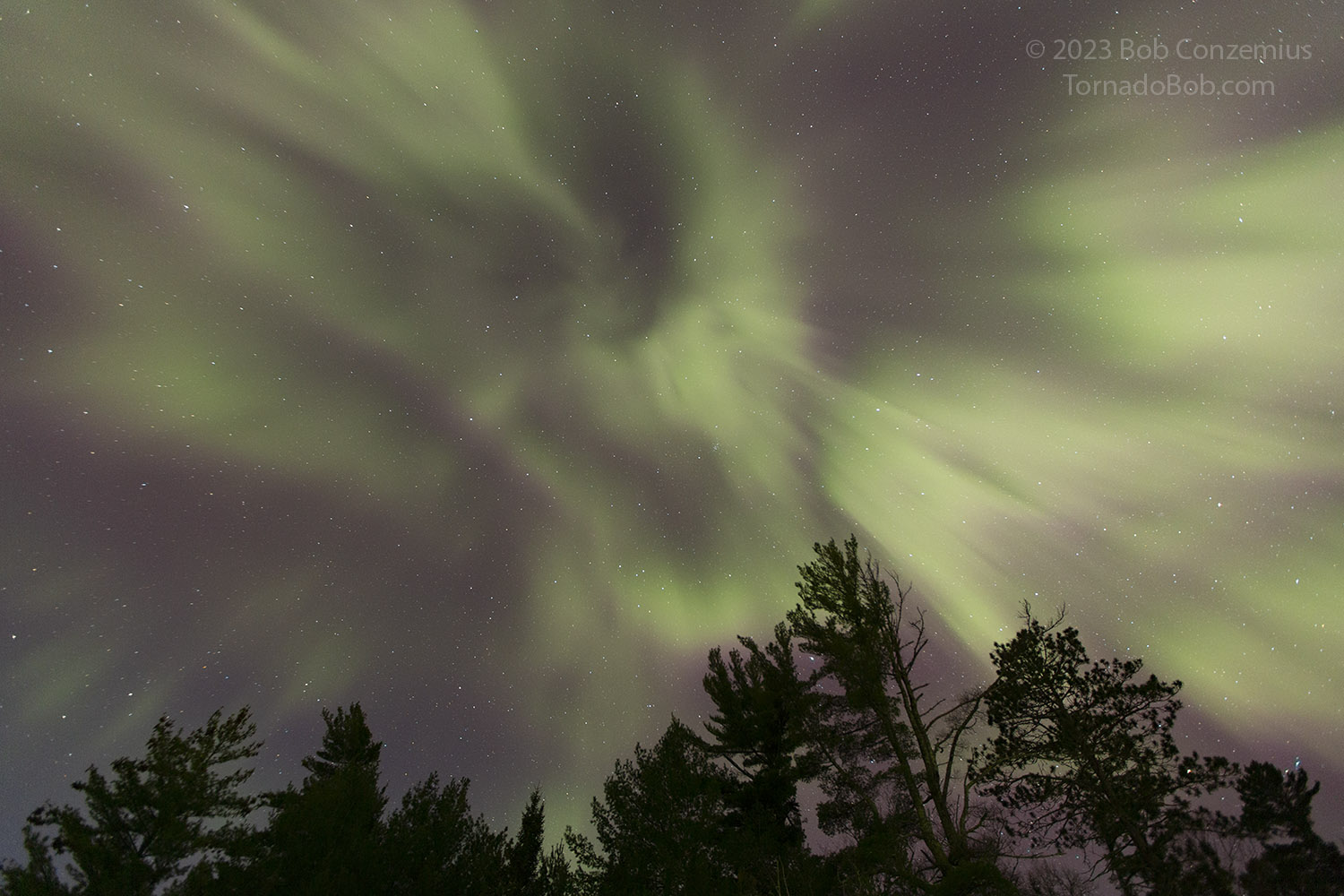 Nice Auroras