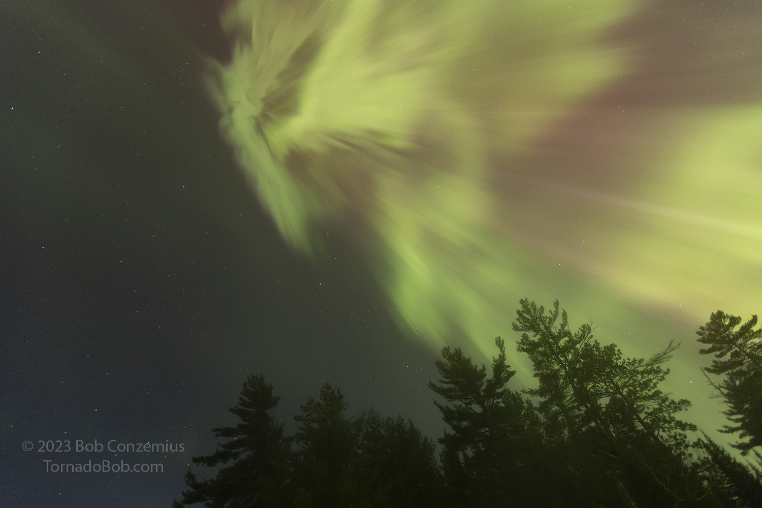 Nice Auroras