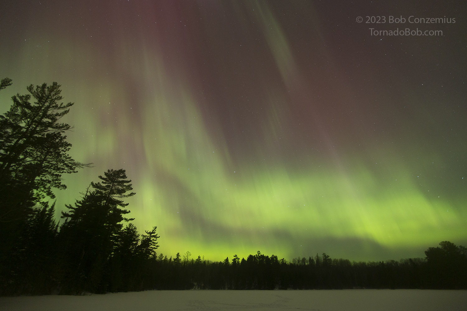 Nice Auroras