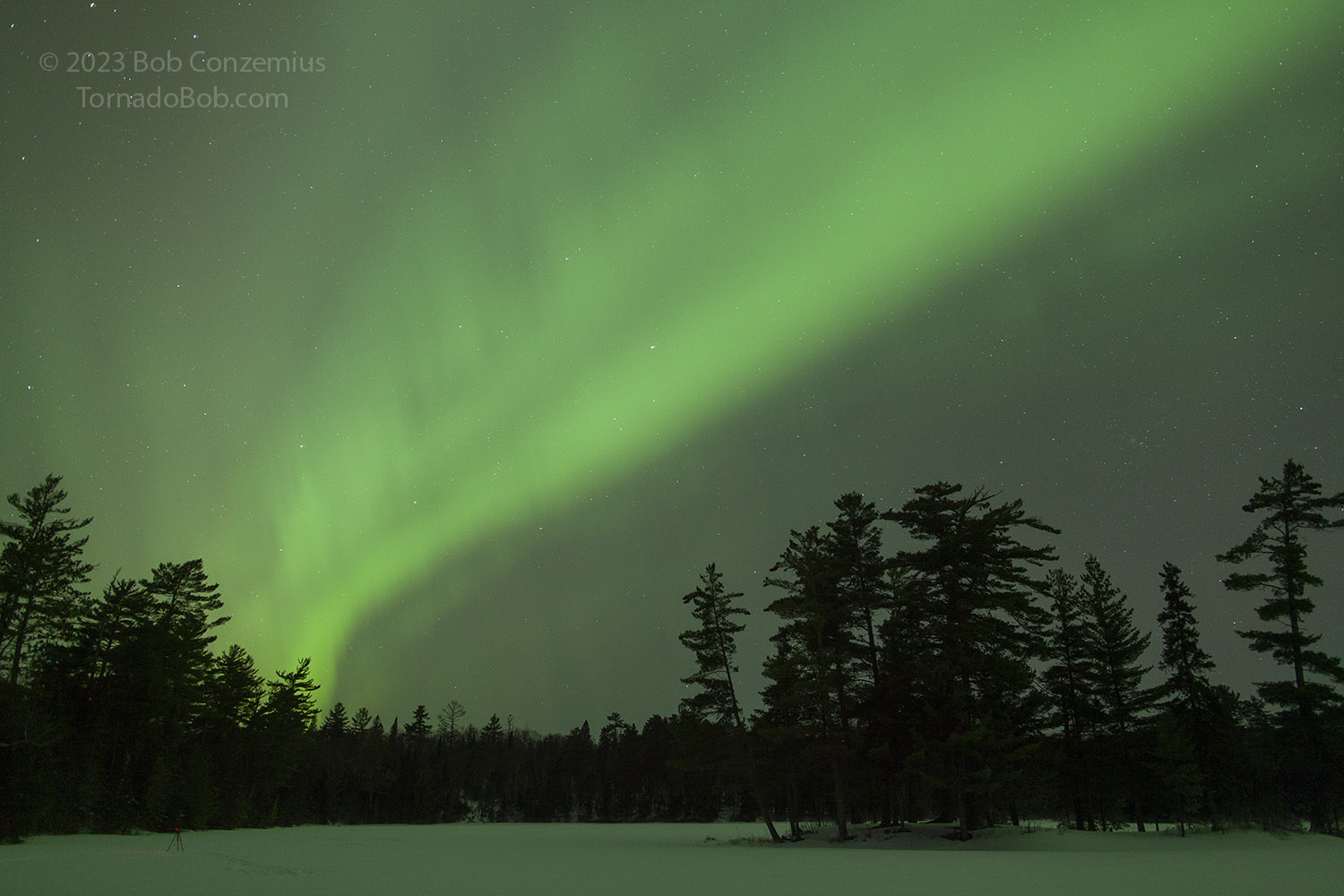 Nice Auroras
