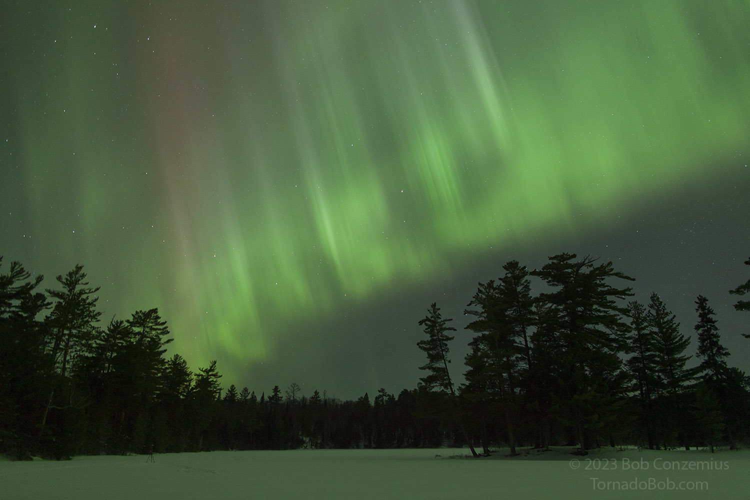 Nice Auroras