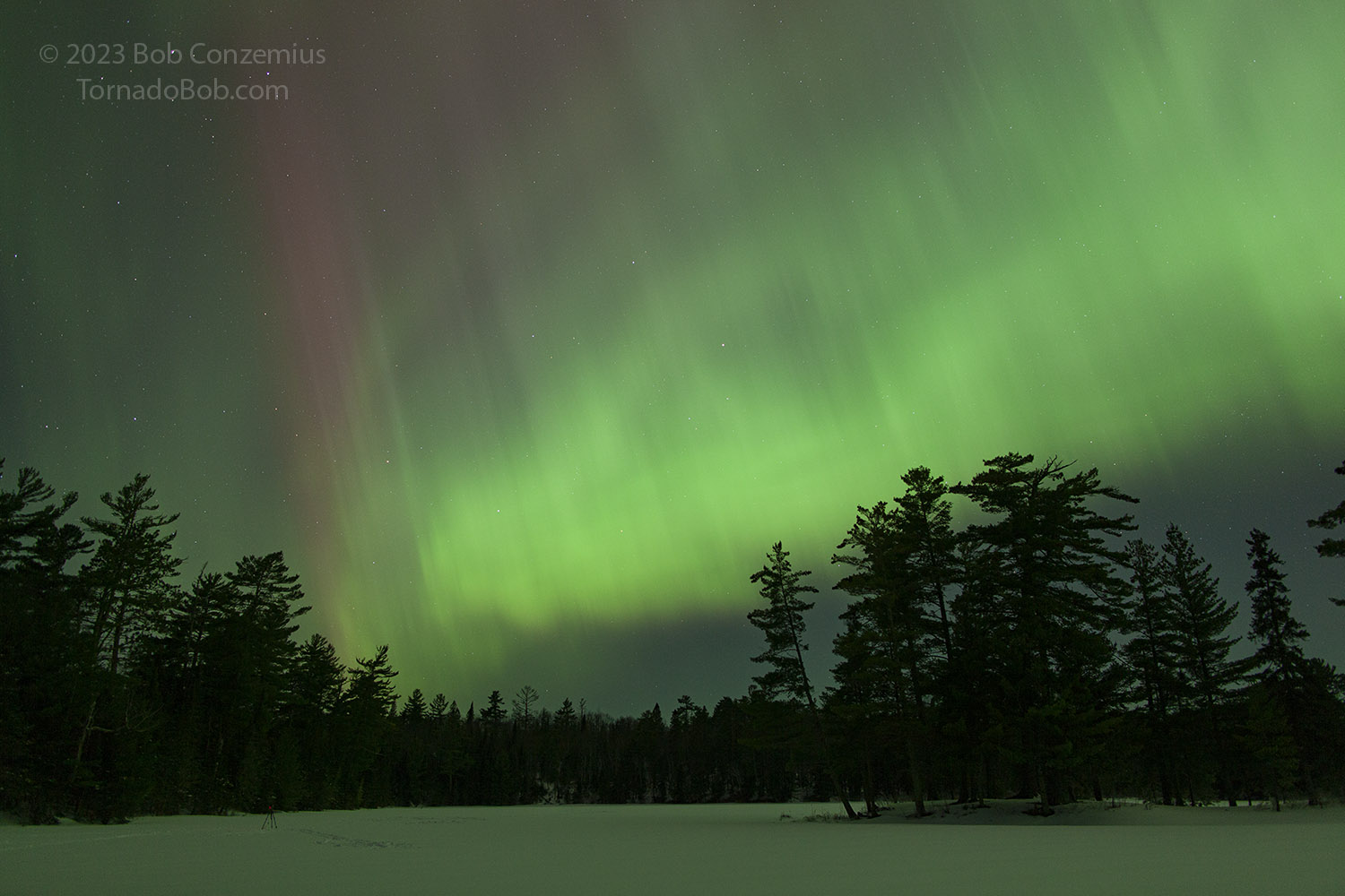 Nice Auroras