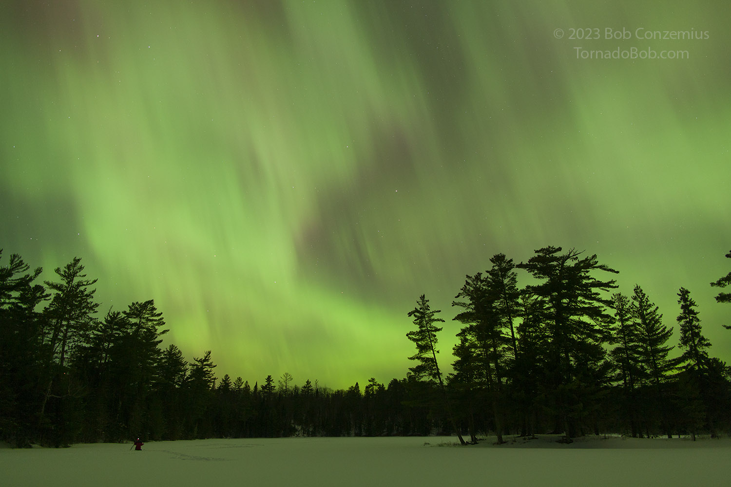 Nice Auroras