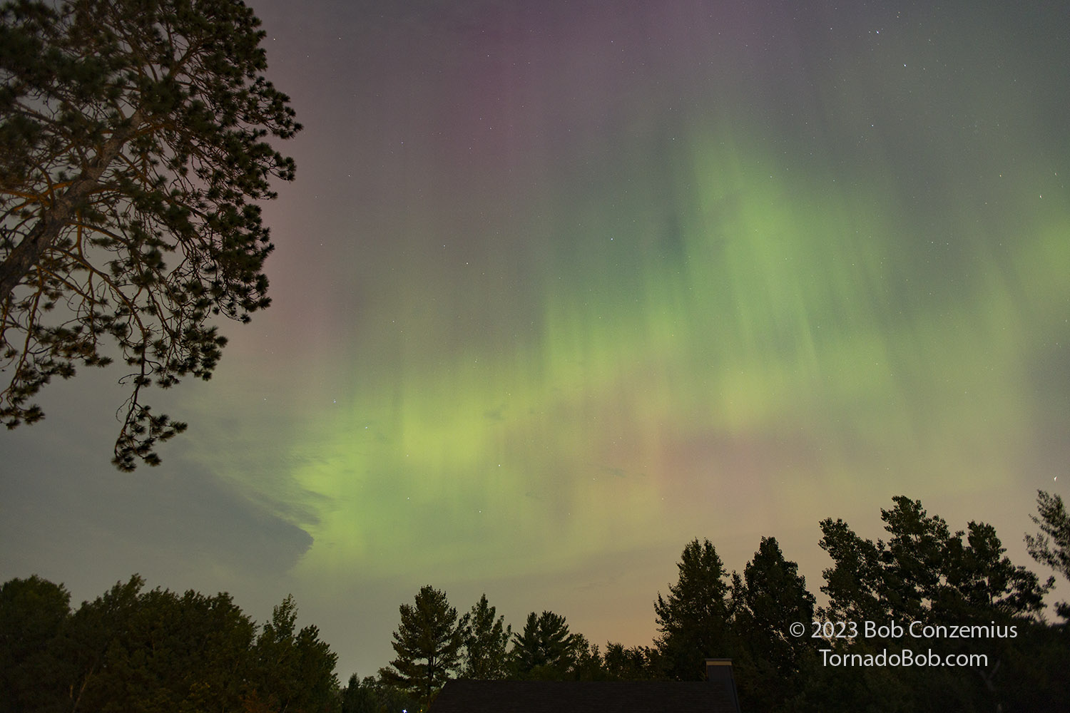Nice Auroras