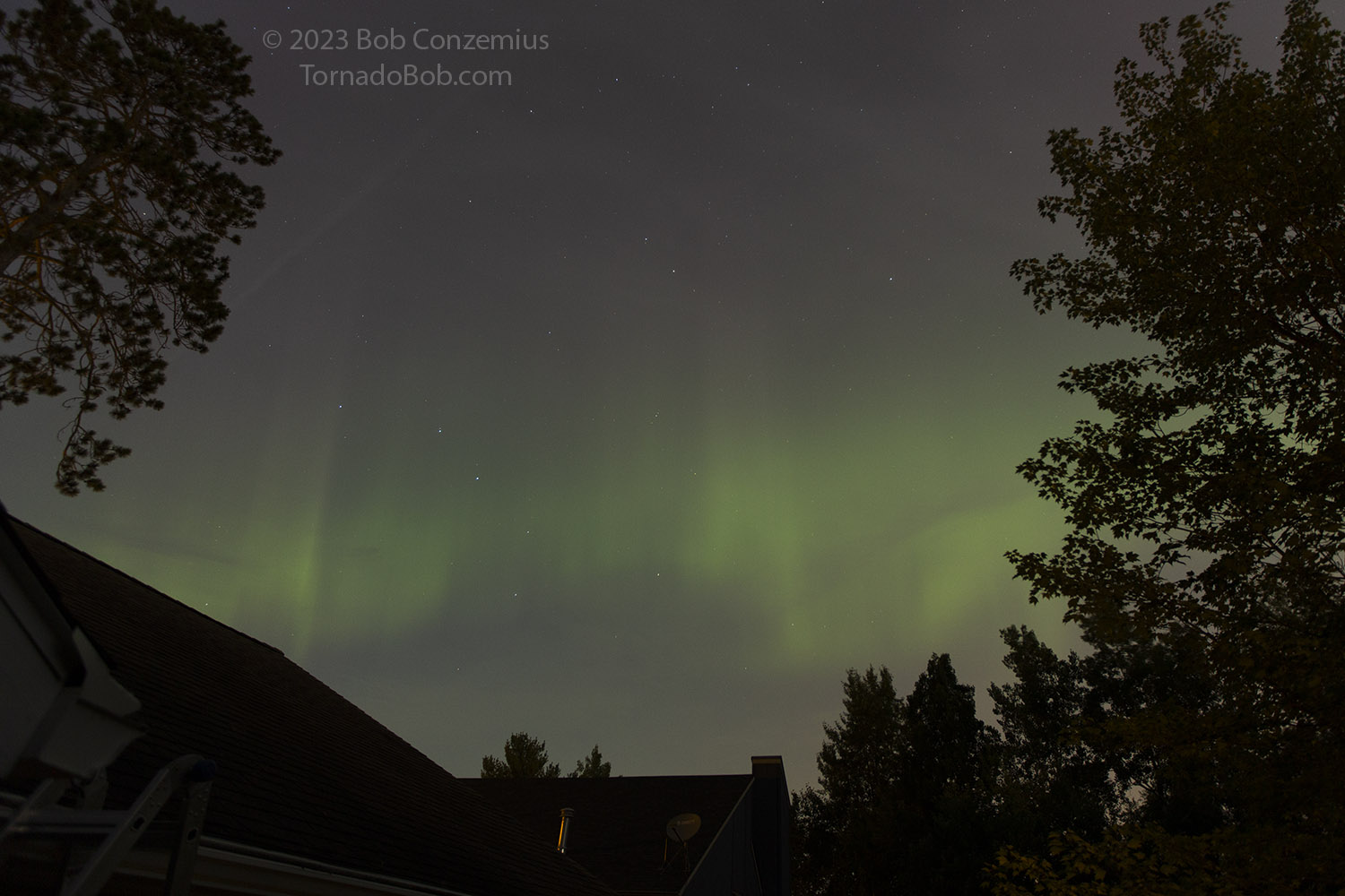 Nice Auroras
