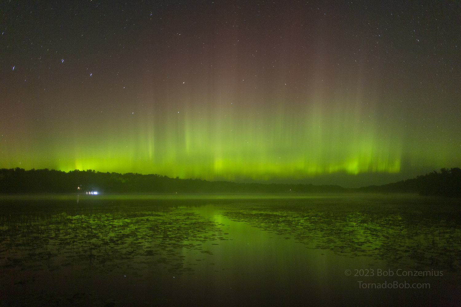 Nice Auroras