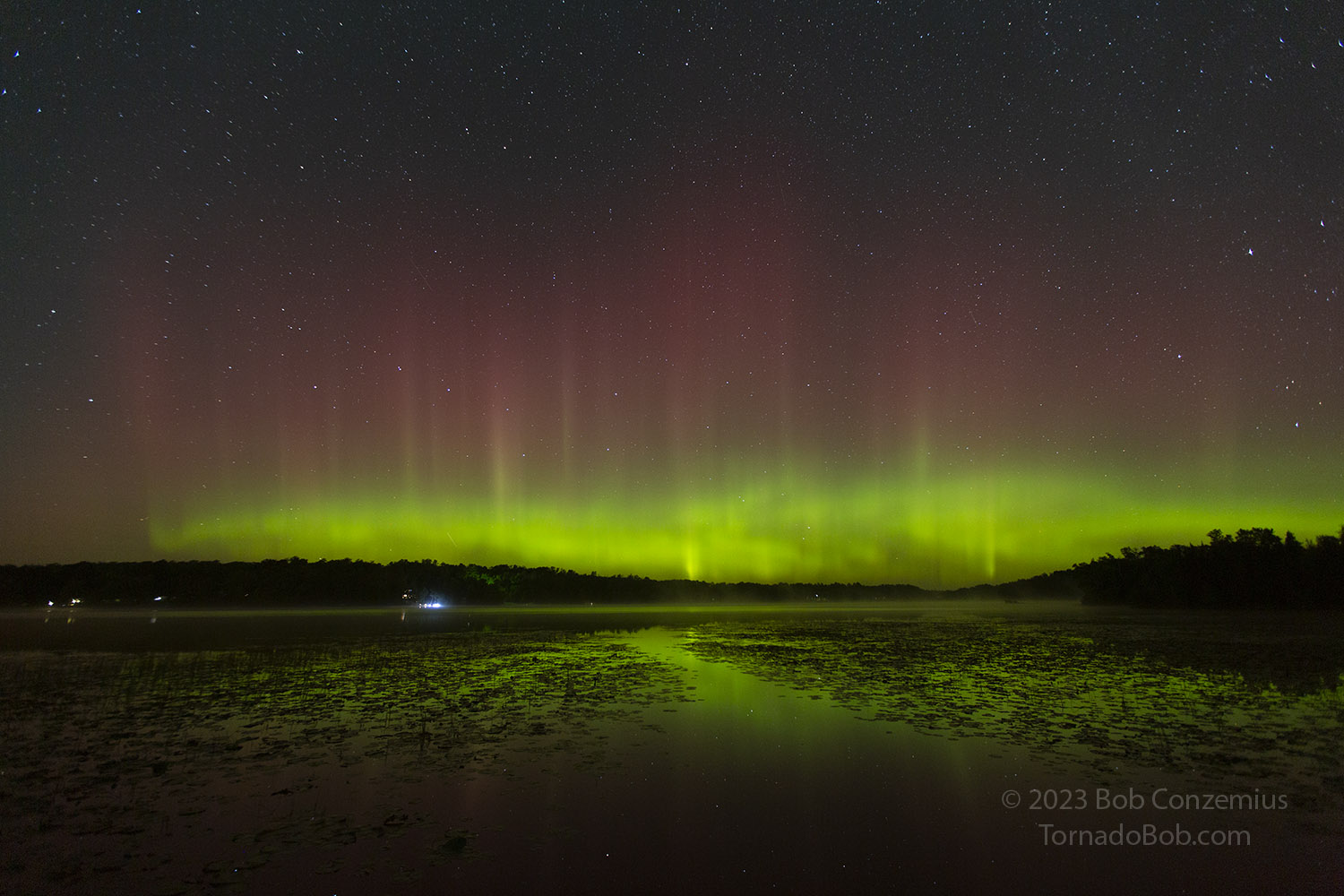 Nice Auroras