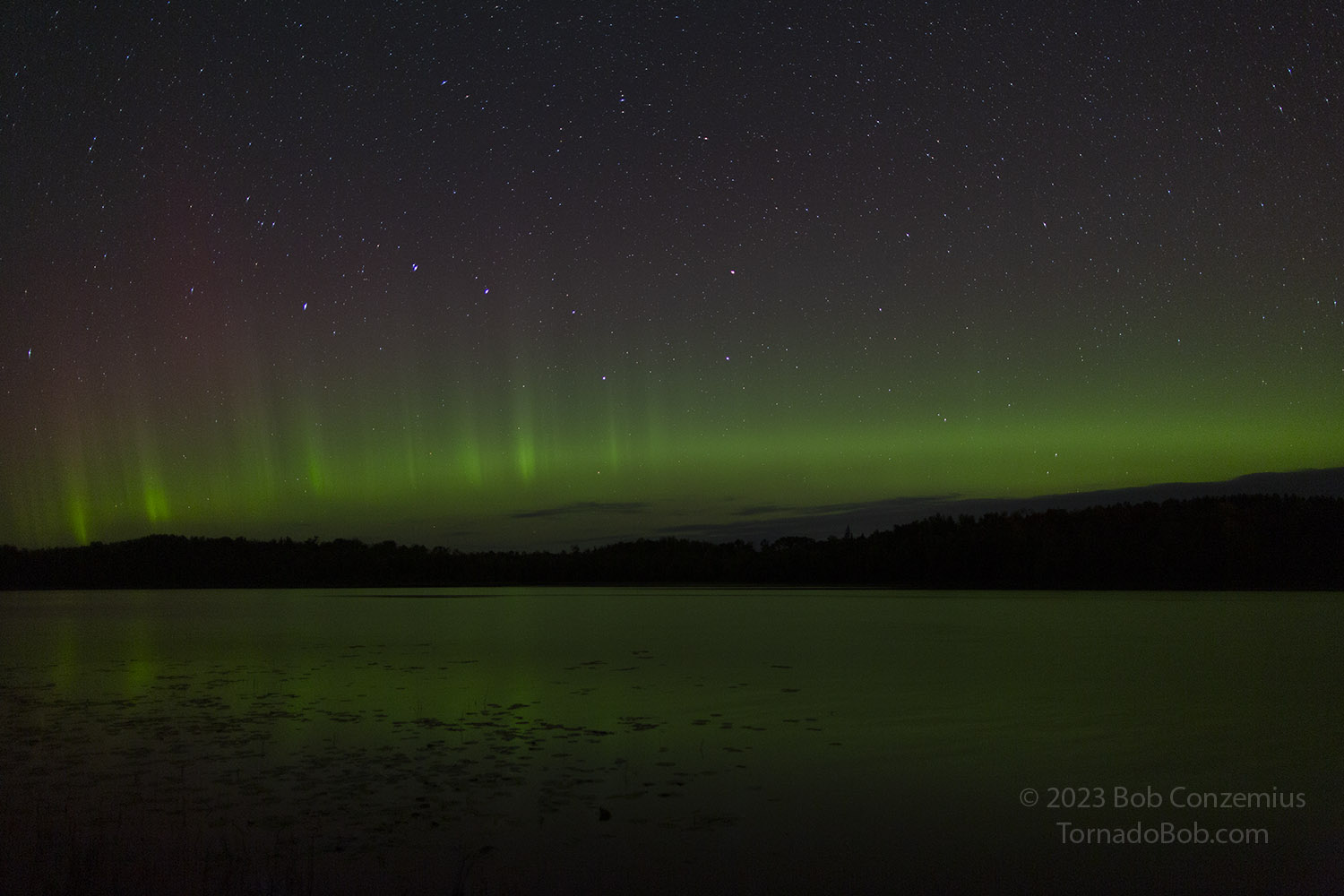Nice Auroras
