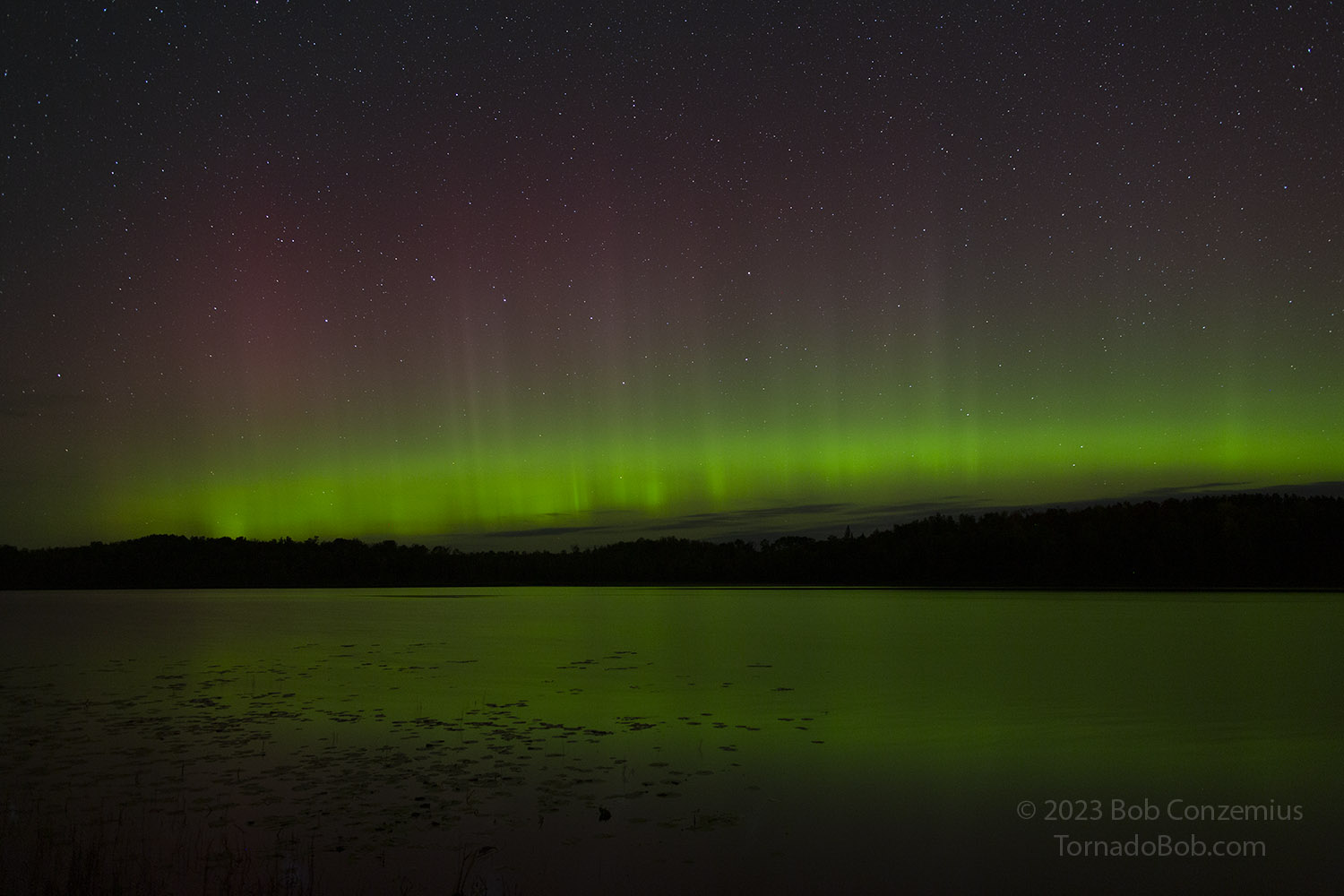 Nice Auroras