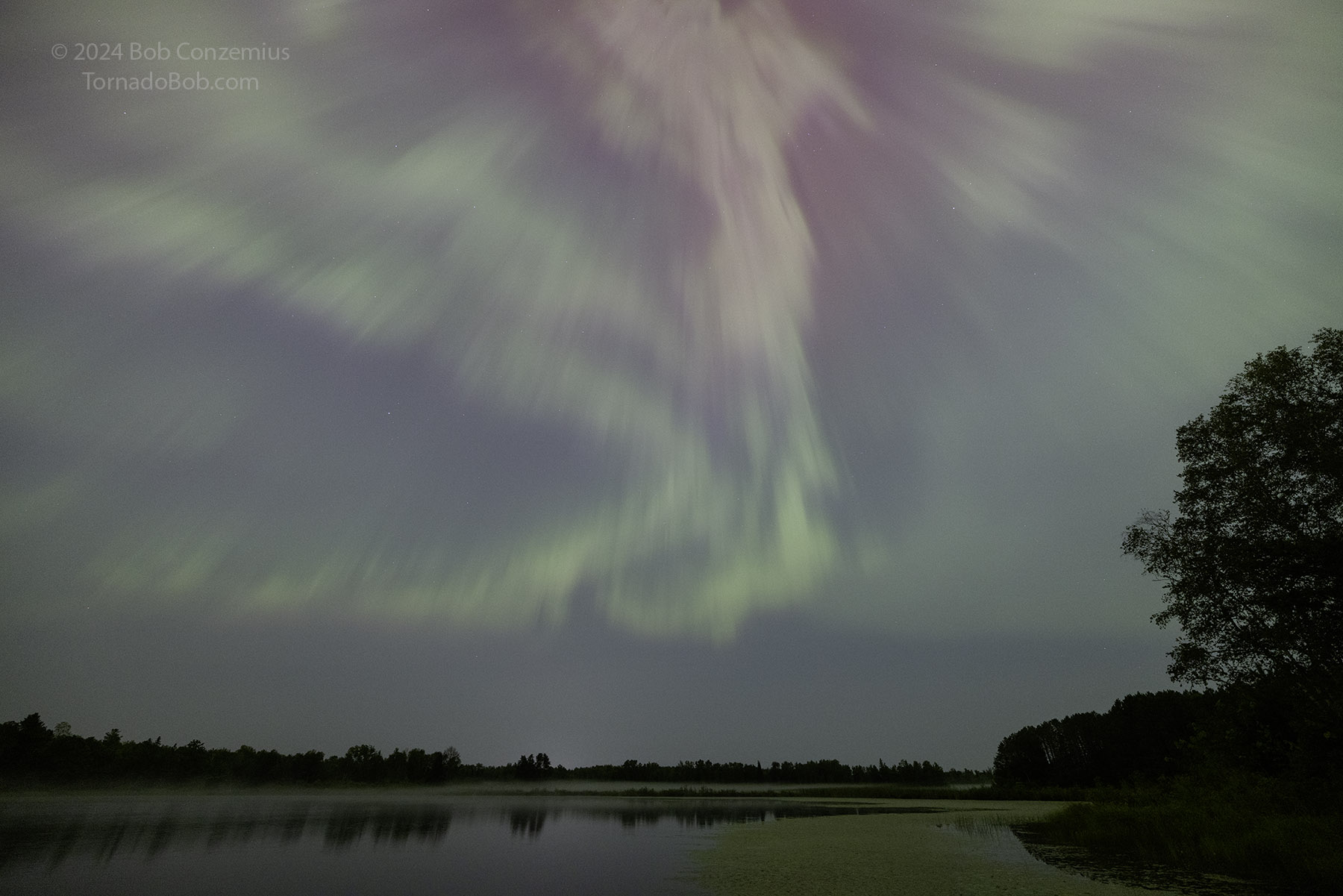Nice Auroras