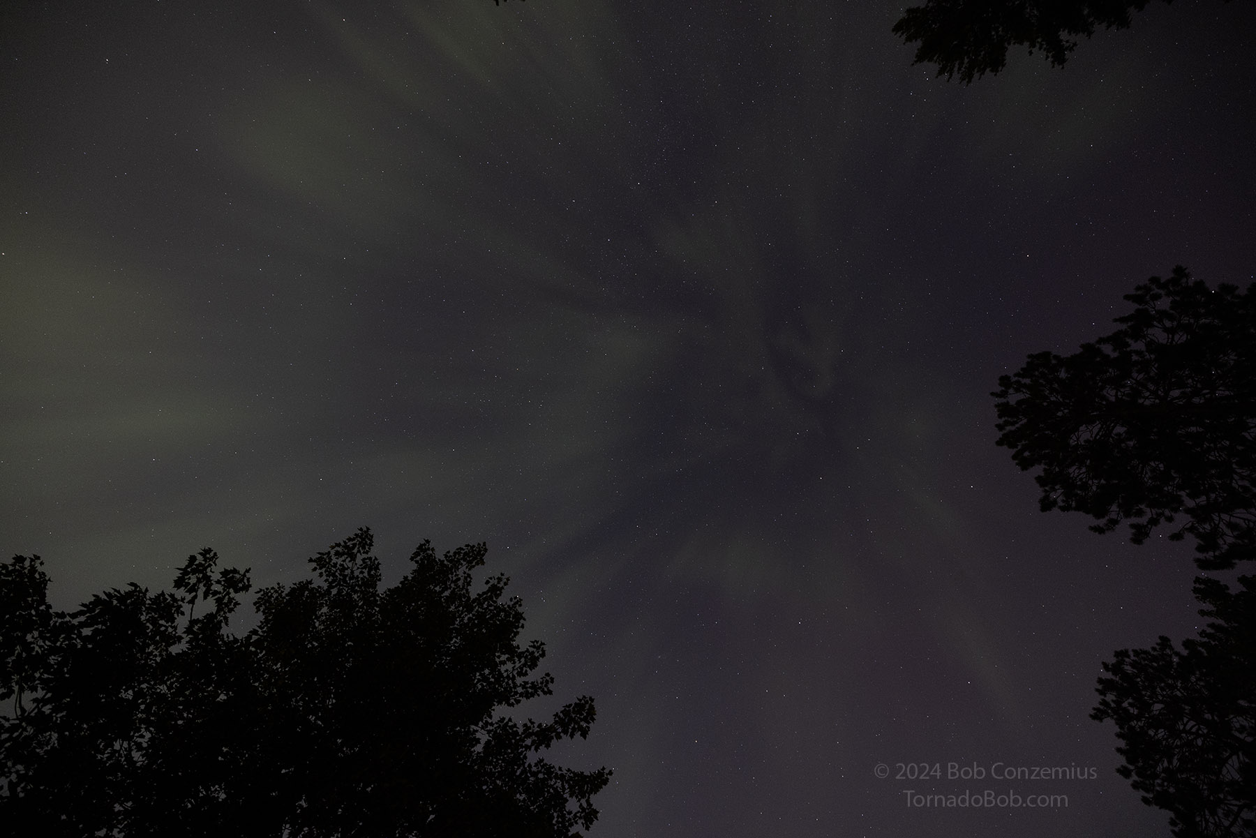 Nice Auroras