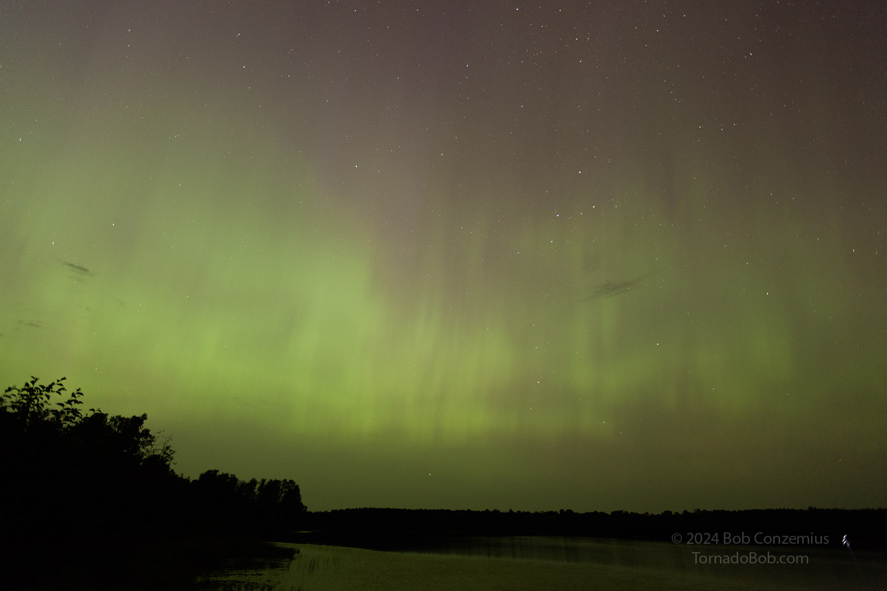 Nice Auroras