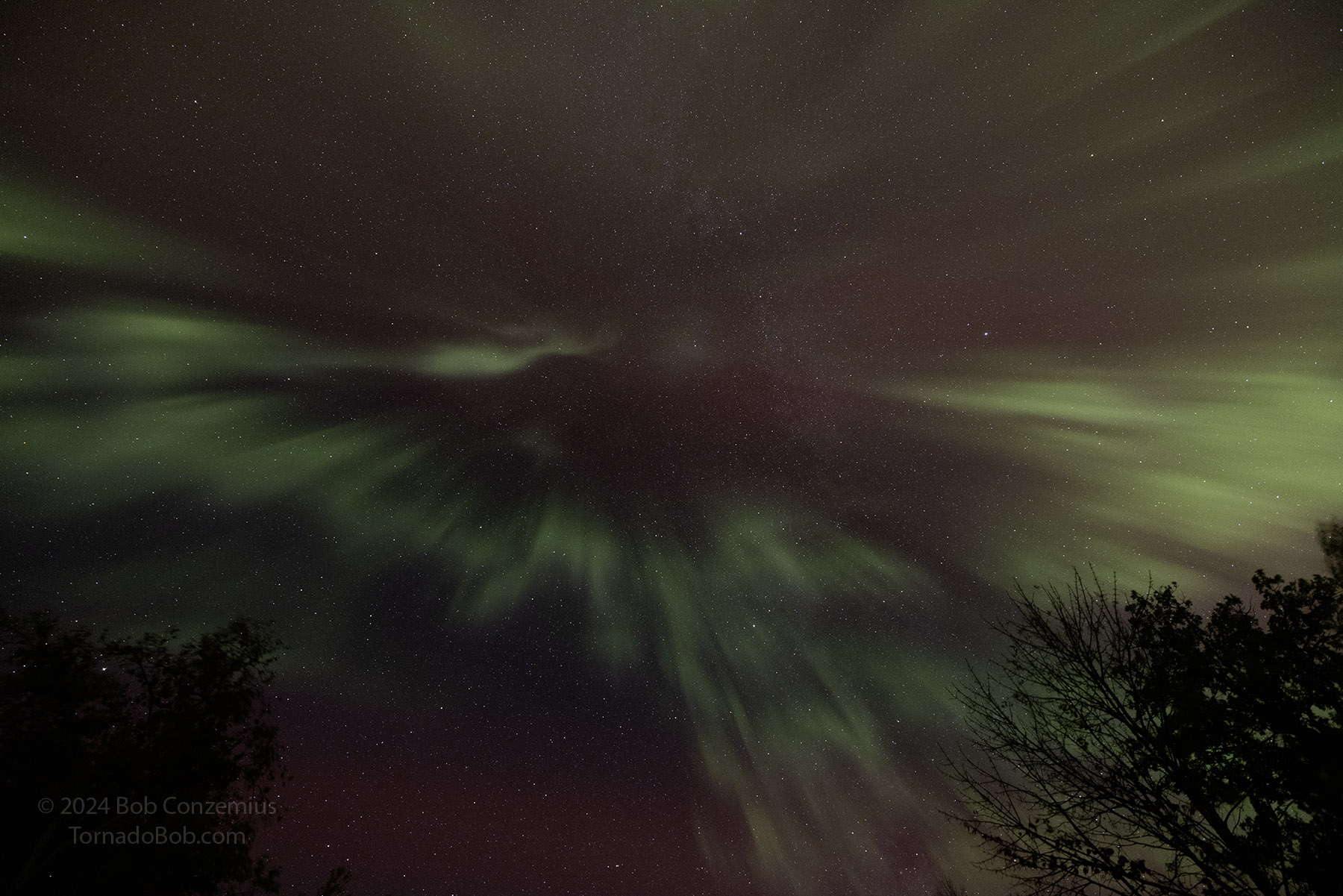 Nice Auroras