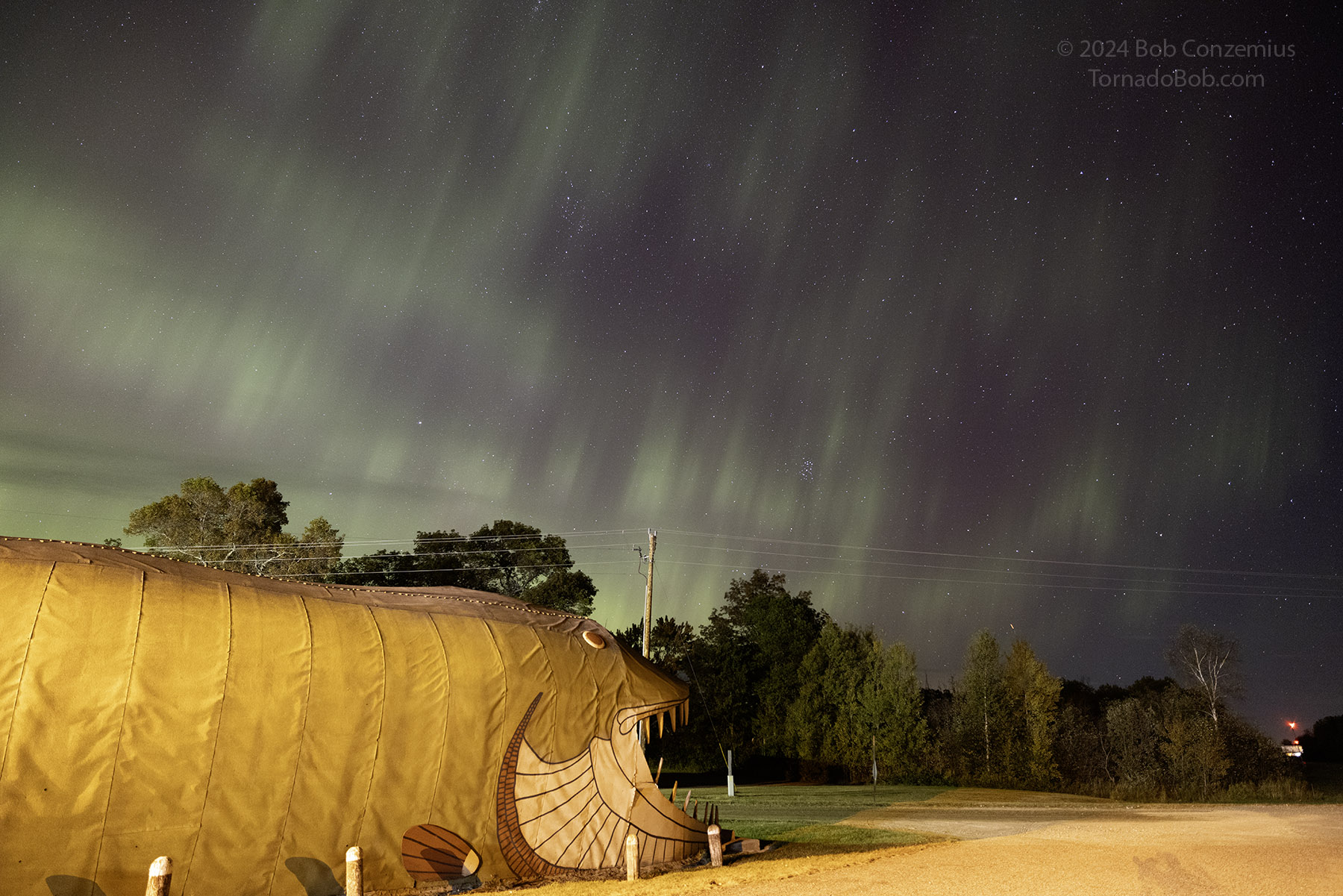 Nice Auroras