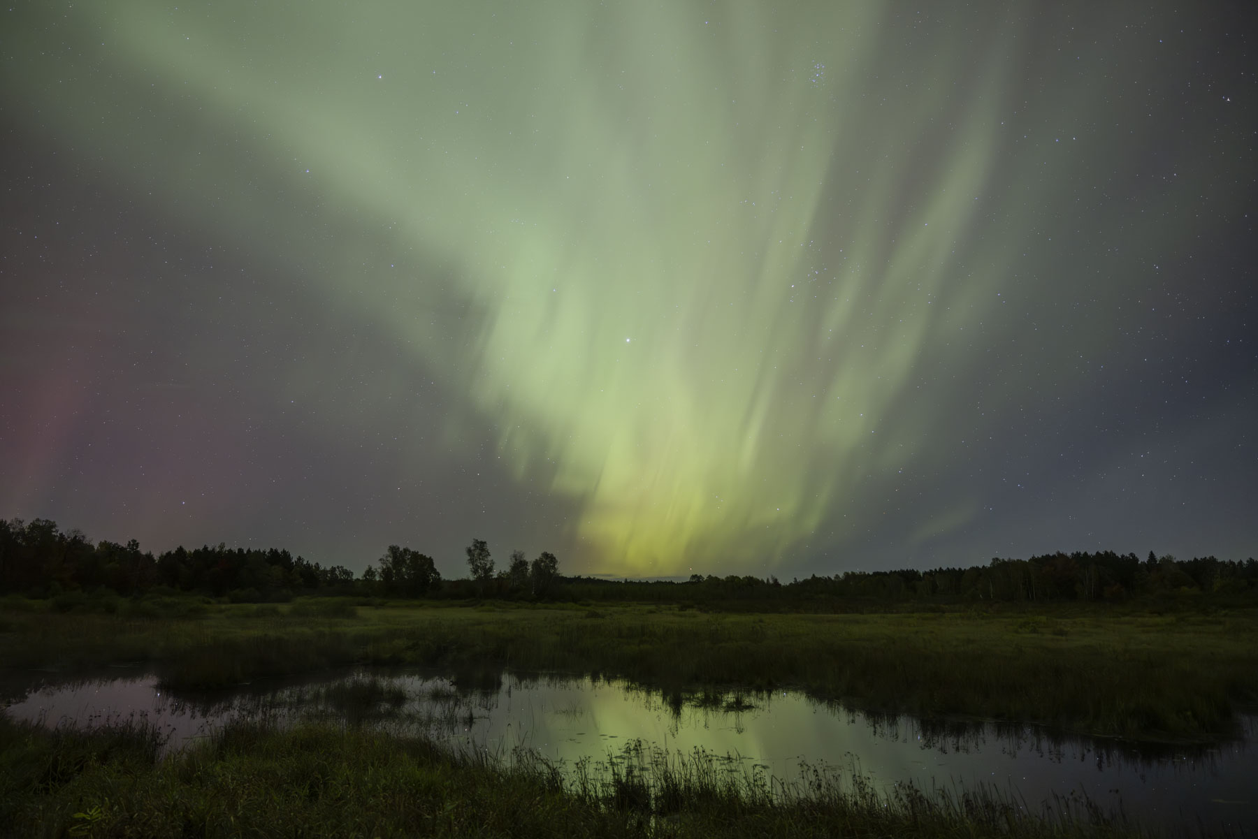 Nice Auroras