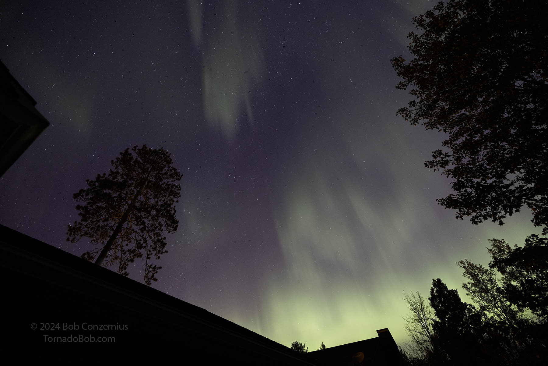 Nice Auroras