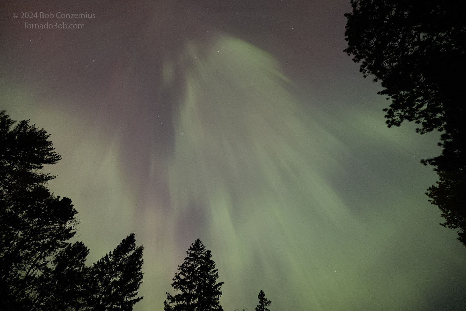 Nice Auroras