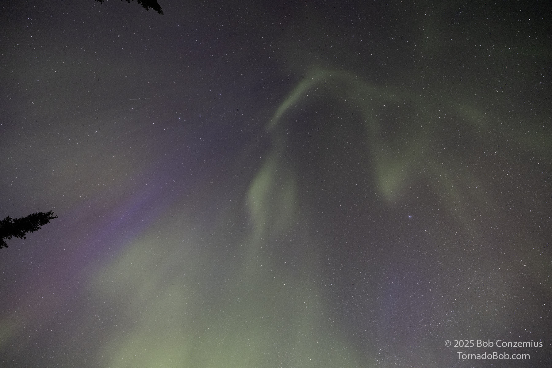 Nice Auroras