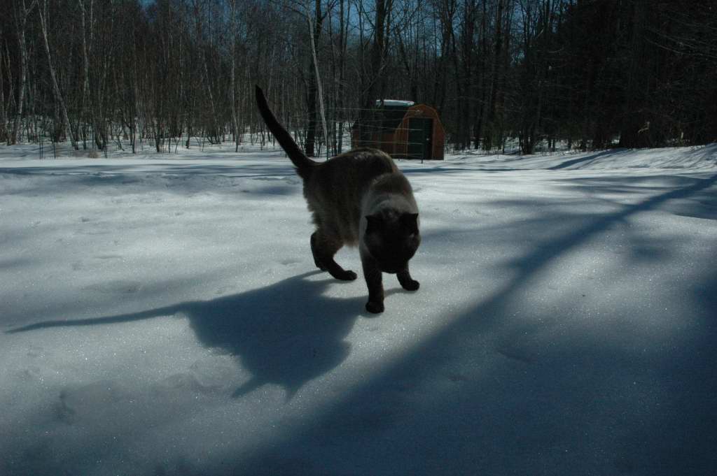 DSC_0020.JPG