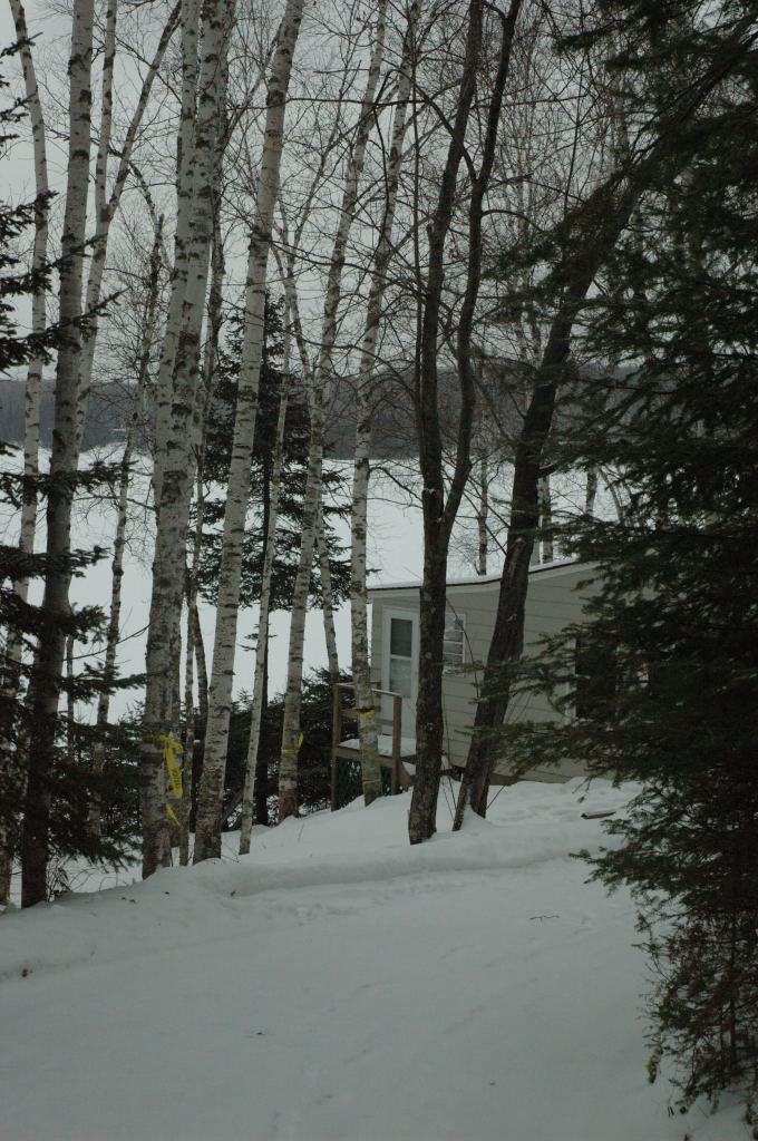 cabin01.JPG