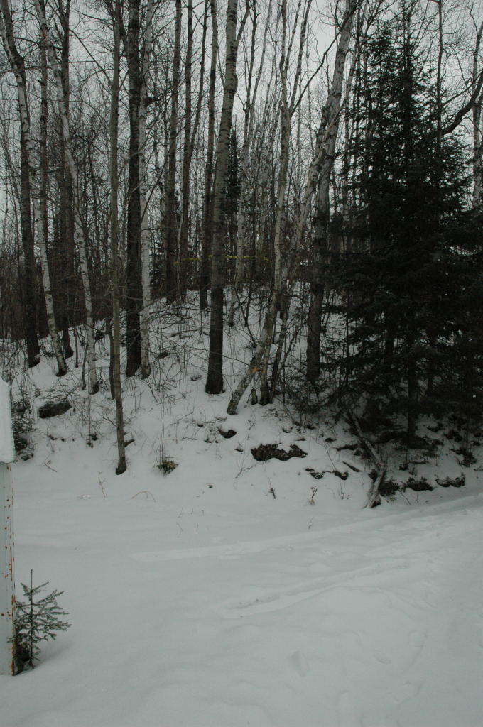 cabin10.JPG