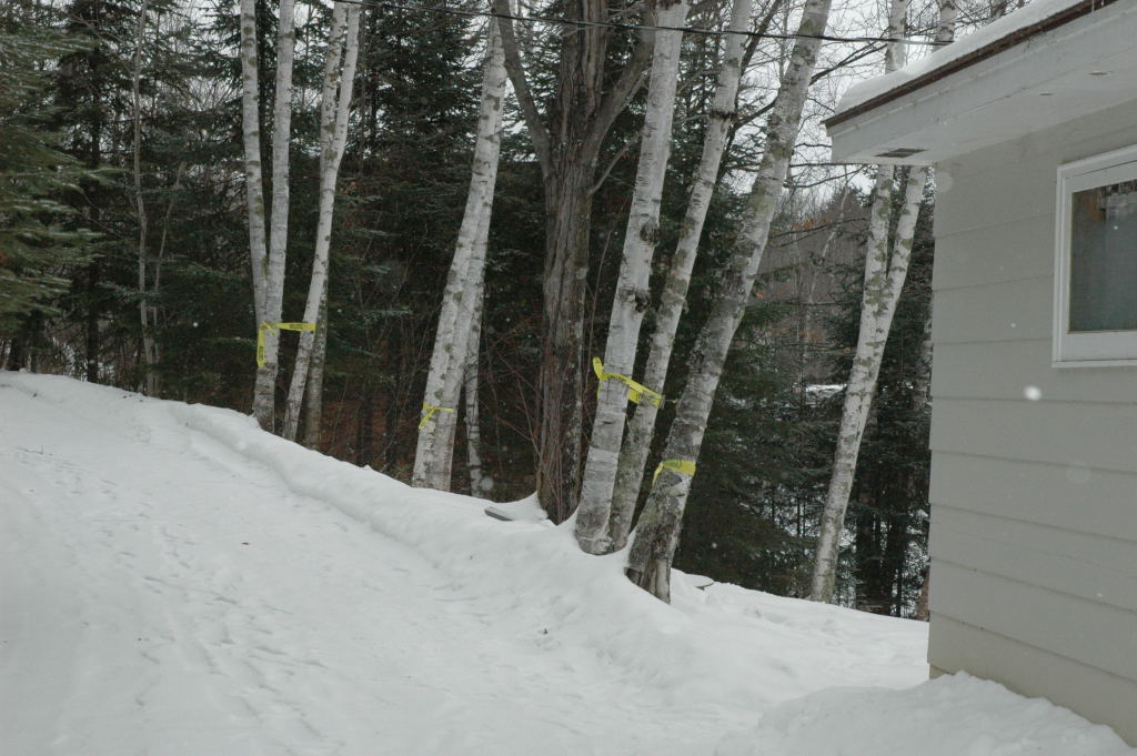 cabin11.JPG