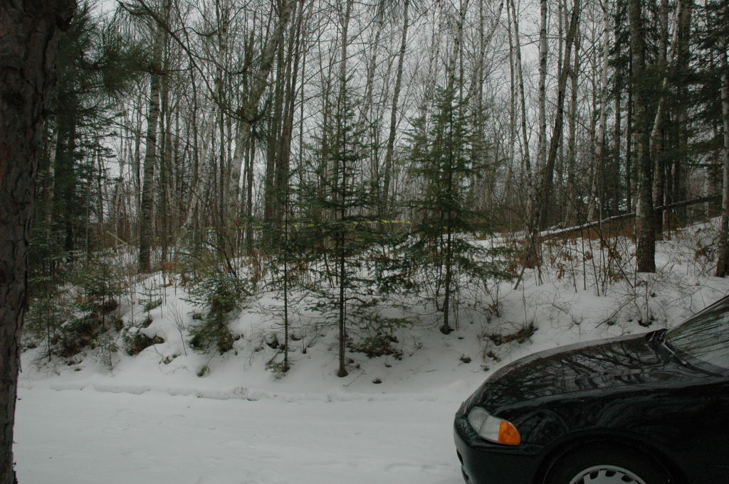 cabin14.JPG