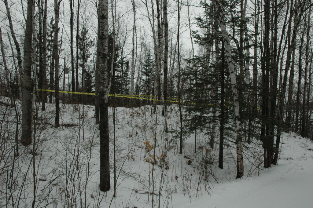 cabin18.JPG