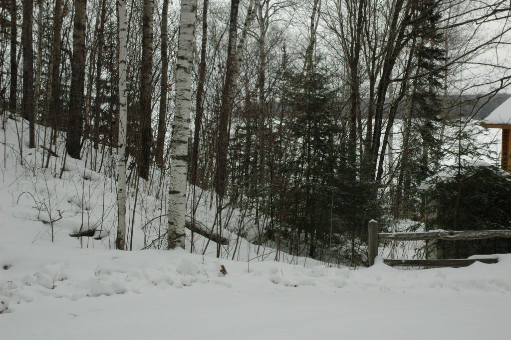 cabin19.JPG