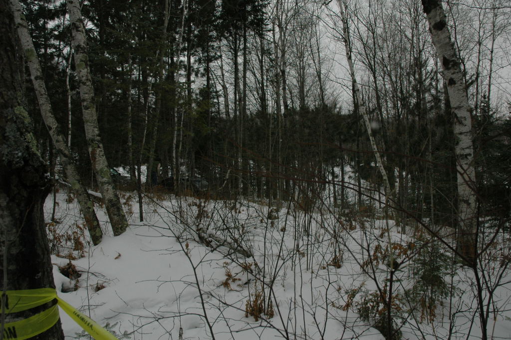 cabin26.JPG