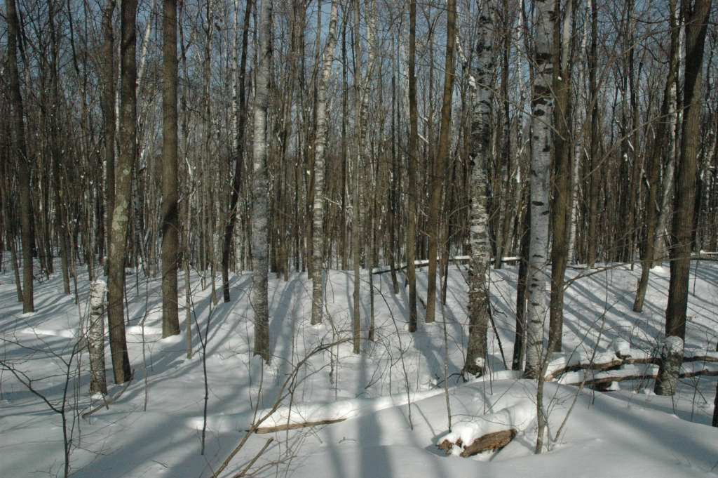 DSC_0024.JPG