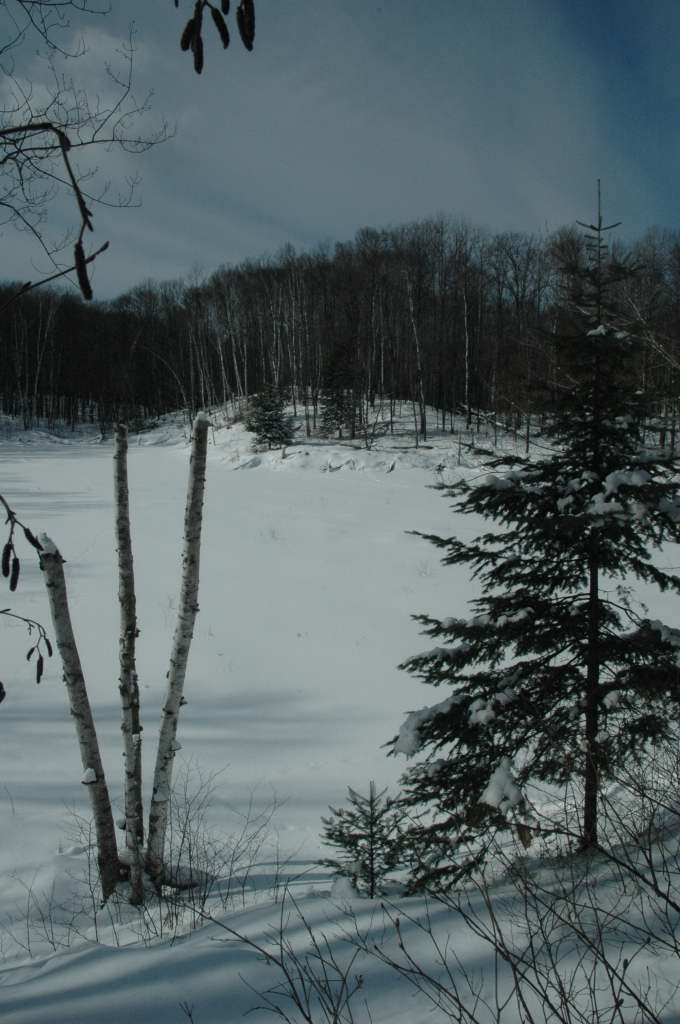 DSC_0026.JPG