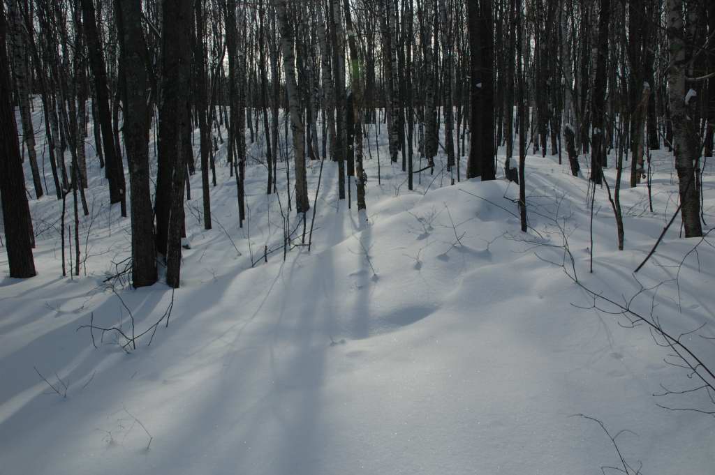 DSC_0029.JPG
