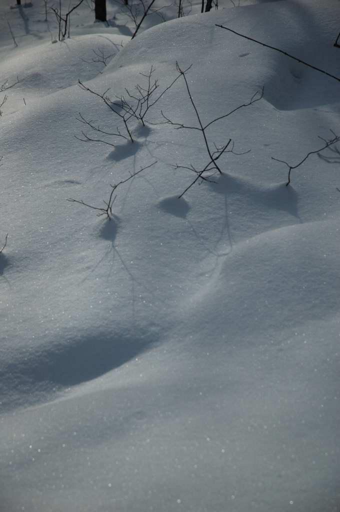 DSC_0032.JPG