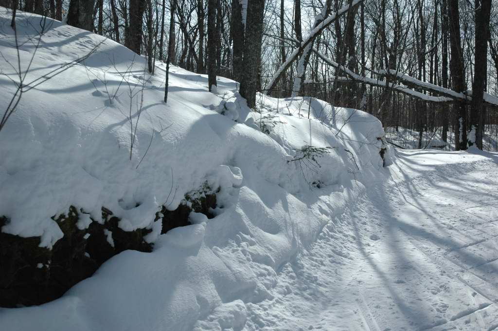 DSC_0033.JPG