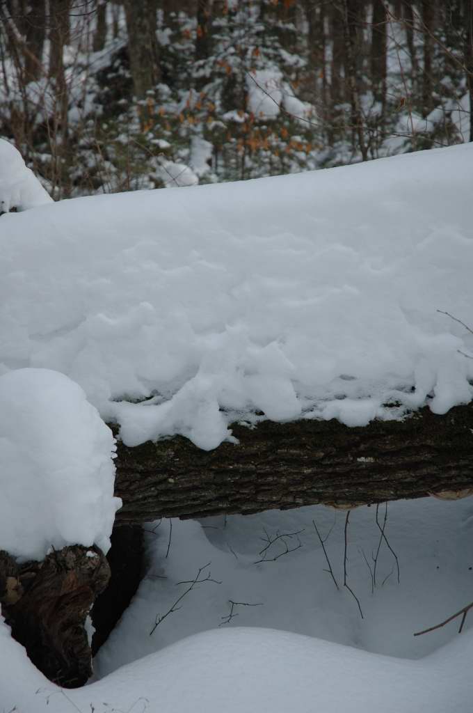 DSC_0039.JPG